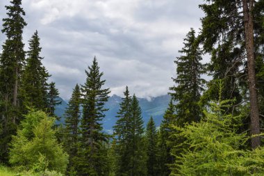 Dağlı harika bir yaz manzarası. Dağların Üzerindeki Yağmur Bulutları. Bir fırtına geliyor.. 