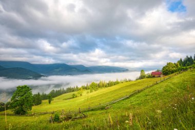 Güneşli bir günde yuvarlanan tepelerin muhteşem yaz sahnesi. Sabah ışığında dağlar. Konum: Carpathian, Ukrayna, Avrupa