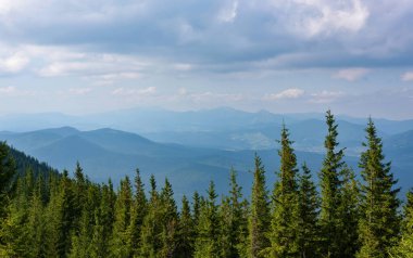 Dağlarda yaz manzarası ve bulutlu mavi gökyüzü. Carpathian, Ukrayna, Avrupa.