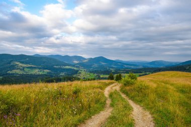 Beautiful mountain landscape with road and hills on the horizon. Carpathian, Ukraine, Europe