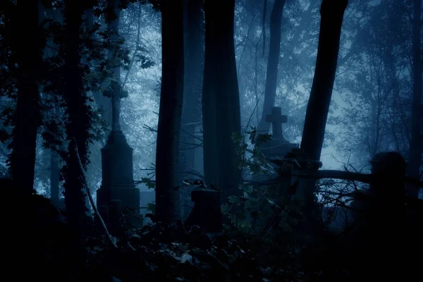 Mehtaplı sisli bir gecede eski bir mezarlığın gece manzarası