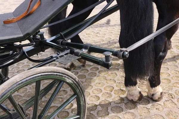 At arabasının bir parçası.