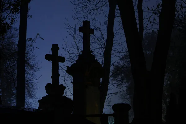 Силуэты Каменных Могильных Крестов Среди Деревьев Кладбище Лунную Ночь — стоковое фото