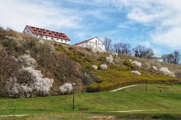 Plock 'taki Vistula yamaçları üzerindeki tarihi binalar güneşli bir bahar gününde.