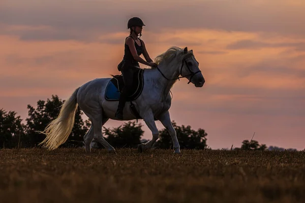 Una Donna Cavallo Durante Crepuscolo — Foto Stock