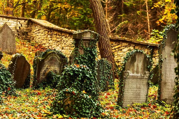 Cmentarz Żydowski Znajduje Się Kilometr Wschód Miasta Luze Dzielnicy Chrudim — Zdjęcie stockowe
