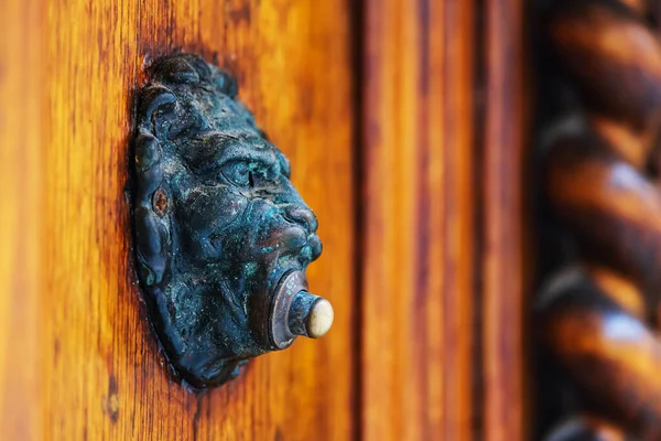 stock image lion's head as a doorbell