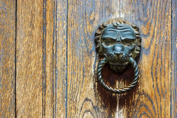 Metal Knocker Lion Head Decorated Door — Stockfoto