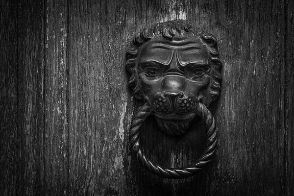 Metallklopfer Wie Ein Löwenkopf Einer Dekorierten Tür — Stockfoto