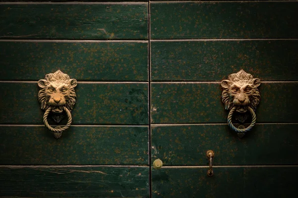 Metal Knocker Lion Head Decorated Door — Stockfoto
