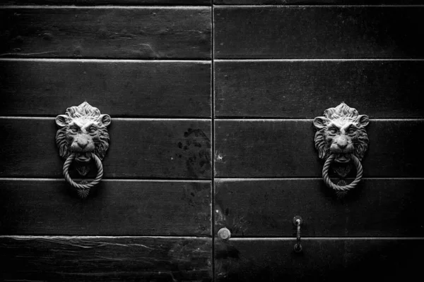 金属制的敲门声就像装饰门扇上的狮头 — 图库照片