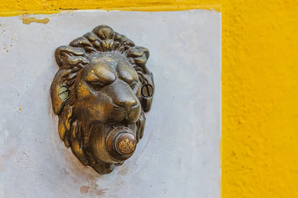 Lion Head Doorbell — Stockfoto