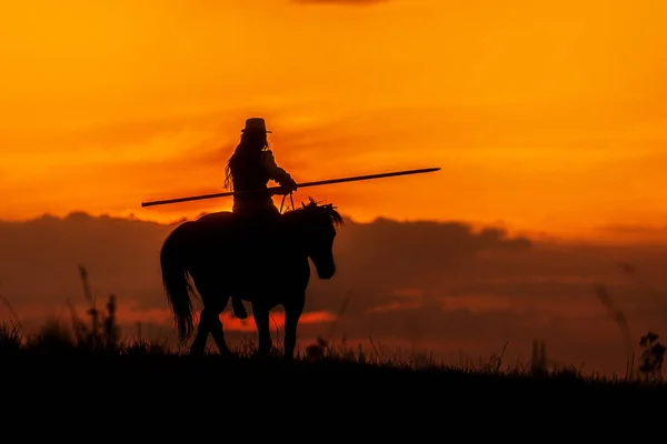 槍の長い馬を持つライダーのシルエット — ストック写真