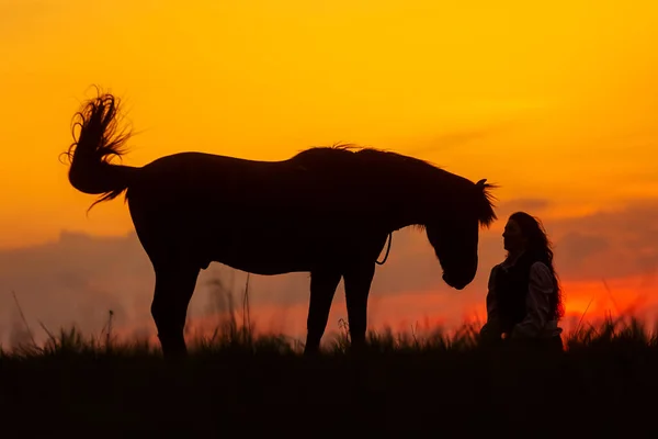 Silhouette Einer Frau Mit Pferd — Stockfoto