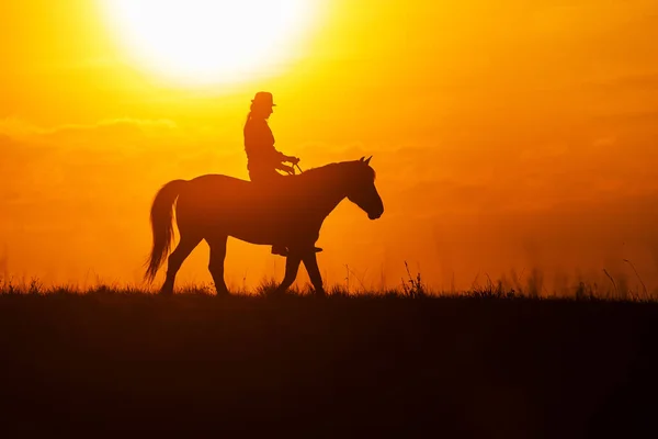 Silhueta Uma Mulher Montando Cavalo — Fotografia de Stock