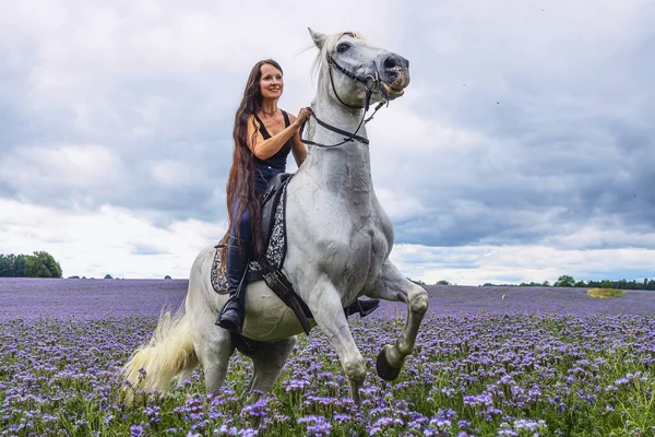 Vacker Kvinna Vit Häst Med Ett Fält Lila Blommor — Stockfoto