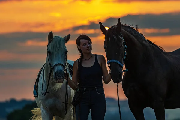 Женщина Всадник Двумя Лошадьми — стоковое фото