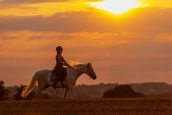 Silhouette Woman Riding Horse Sun Goes — 스톡 사진
