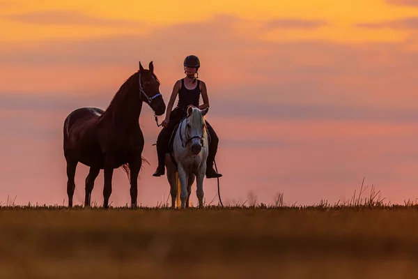 Silhouette Woman Riding Horse Sun Goes — Stock Photo, Image