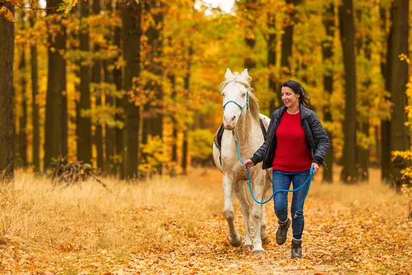 Young woman and a white horse walking along the path through the autumn forest with colourful leaves