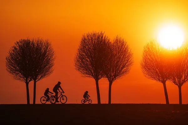 Černé Siluety Tří Cyklistů Proti Barevnému Pozadí Zapadajícího Slunce Cyklistou Royalty Free Stock Fotografie