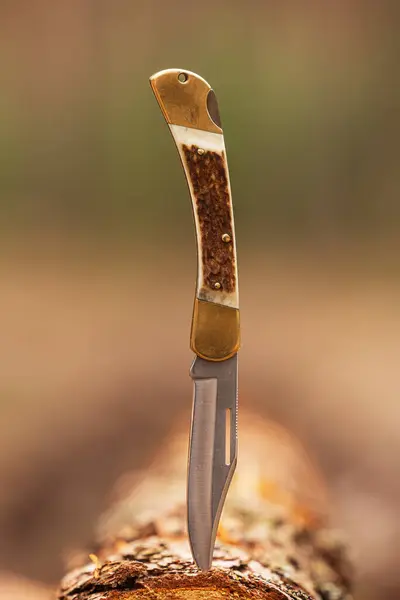 Folding Knife Antler Handle Stock Photo