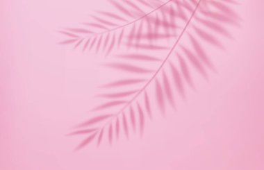 3D boş ışık stüdyosu, spot ışıkları ve tropikal palmiye yapraklarının gölgesiyle soyut bir arka plan. Grafik tasarım poster pankartı ve arkaplan konsepti. 3D görüntüleme. Vektör illüstrasyonu