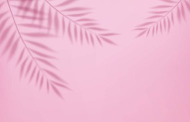 3D boş ışık stüdyosu, spot ışıkları ve tropikal palmiye yapraklarının gölgesiyle soyut bir arka plan. Grafik tasarım poster pankartı ve arkaplan konsepti. 3D görüntüleme. Vektör illüstrasyonu