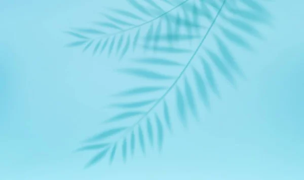 Leeres Licht Studio Abstrakten Hintergrund Mit Scheinwerfereffekt Und Tropischen Palmblättern — Stockvektor