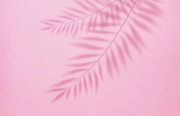 Lege Lichte Studio Abstracte Achtergrond Met Schijnwerper Effect Tropische Palm — Stockvector
