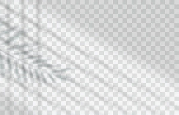 Эффект Теневого Наложения Прозрачный Мягкий Свет Тени Ветвей Растений Листьев — стоковый вектор