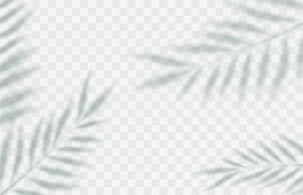 Эффект Теневого Наложения Прозрачный Мягкий Свет Тени Ветвей Растений Листьев — стоковый вектор