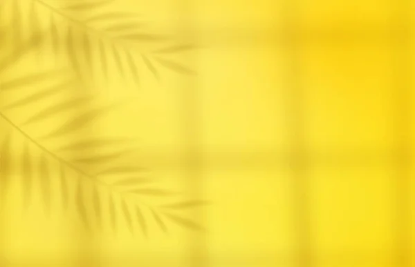 Пустой Свет Студии Абстрактный Фон Эффектом Прожектора Тропических Пальмовых Листьев — стоковый вектор
