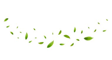 Yeşil yapraklar rüzgarla uçar. Yeşil yapraklar dalgalanıyor. Yaprak dökülüyor. Vegan, eko, organik tasarım. Vektör illüstrasyonu
