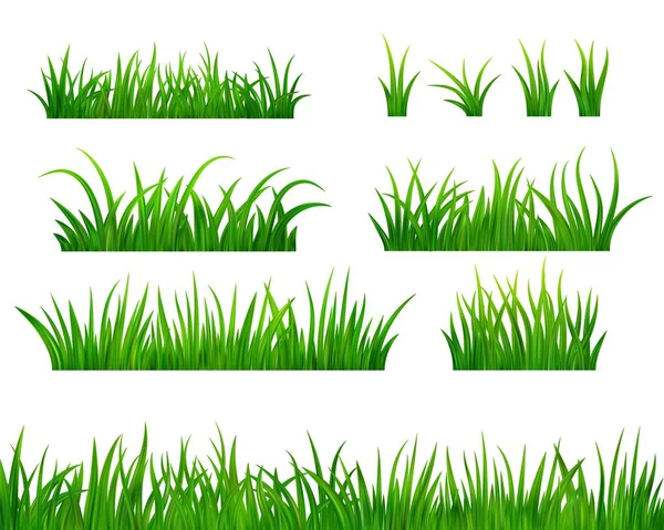 詳細な緑の草の牧草地の境界線を設定します 春または夏の植物畑の芝生 草の背景 ベクターイラスト — ストックベクタ