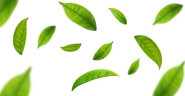 Ρεαλιστικά Φύλλα Πράσινου Τσαγιού Κίνηση Λευκό Φόντο Ιστορικό Ιπτάμενα Πράσινα — Διανυσματικό Αρχείο