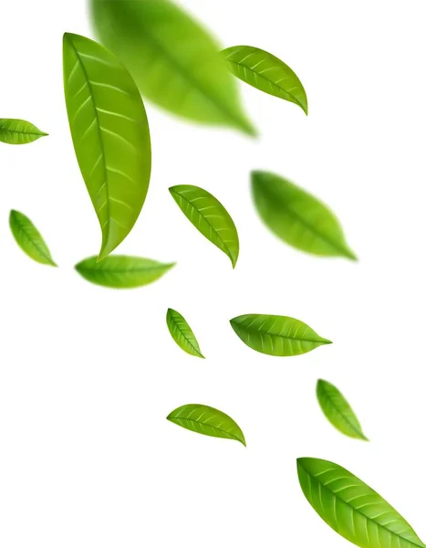 Realistische Grüne Teeblätter Bewegung Auf Weißem Hintergrund Hintergrund Mit Fliegenden — Stockvektor