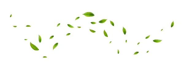 緑の葉は突風で飛ぶ 緑の葉の波 葉が落ちる ビーガン 有機設計要素 ベクターイラスト — ストックベクタ