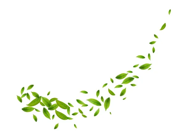 Grüne Blätter Fliegen Mit Einem Windstoß Grüne Blätter Winken Laub — Stockvektor