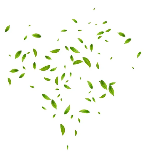 Realistiska Gröna Teblad Rörelse Vit Bakgrund Bakgrund Med Flygande Gröna — Stock vektor