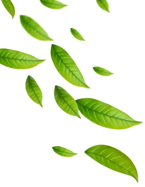 現実的な緑茶は白い背景の動きに残る 緑の春の葉を飛んで背景 ベクターイラスト — ストックベクタ