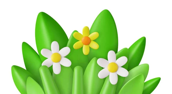 3D现实的雏菊 青草和树叶 母亲节快乐 情人节的概念 春天装饰 3D渲染 矢量说明 — 图库矢量图片