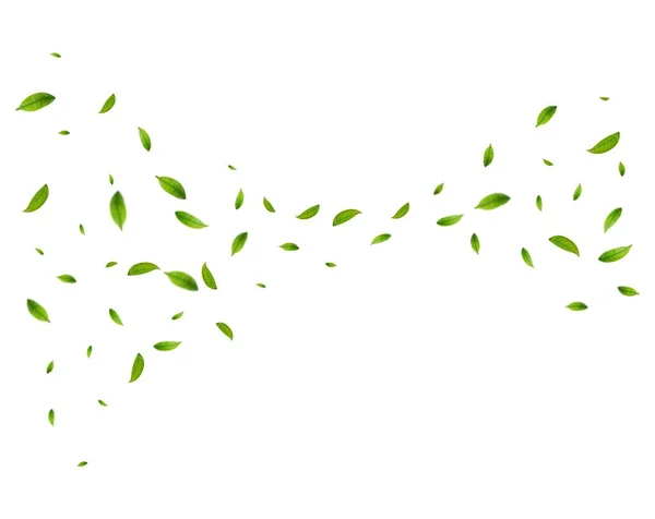 Realistiska Gröna Teblad Rörelse Vit Bakgrund Bakgrund Med Flygande Gröna — Stock vektor