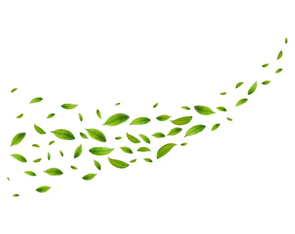 Realistické Zelený Čaj Listí Pohybu Bílém Pozadí Pozadí Letícími Zelenými — Stockový vektor