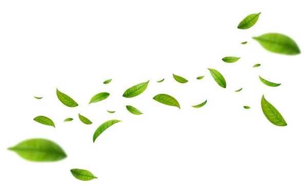 Realistyczna Zielona Herbata Pozostawia Ruchu Białym Tle Tło Latającymi Liśćmi — Wektor stockowy