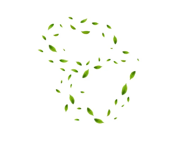 Realistické Zelený Čaj Listí Pohybu Bílém Pozadí Pozadí Letícími Zelenými — Stockový vektor