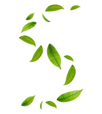 Yeşil Yüzen Yapraklar Uçan Yapraklar Süslemesi. Vegan, eko, organik tasarım. Kozmetik desen sınırı. Taze çay arkaplanı. Güzellik ürünü. Vektör illüstrasyonu