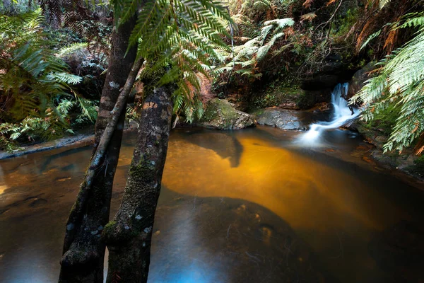 Водопад Идик Закрытая Прорубь Купания Blue Mountains Australia Которая Предполагает Стоковое Изображение