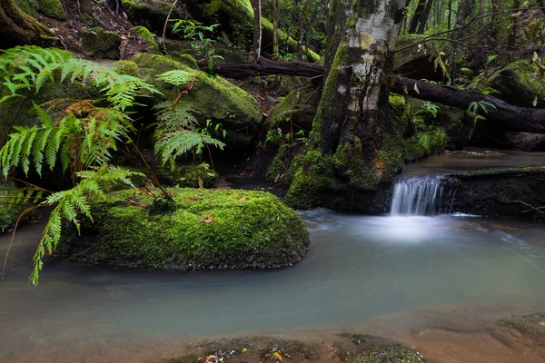 Ruhe Ist Das Lauschen Des Wasserfalls Entlang Eines Gebirgsbaches — Stockfoto