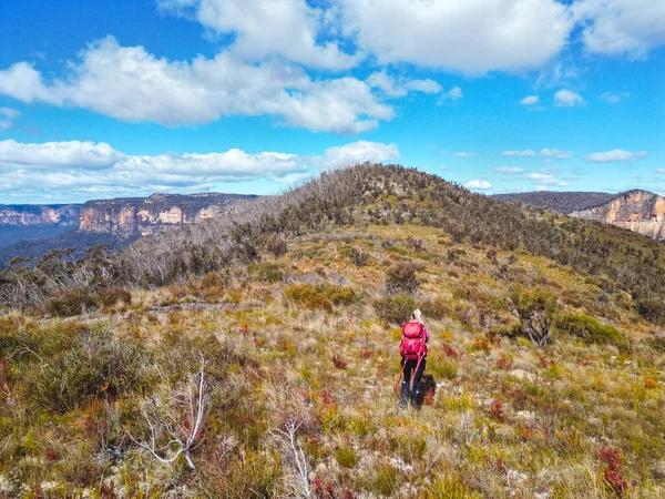 Woman Hiking Exposed Hill High Upper Blue Mountains — Stock Photo, Image